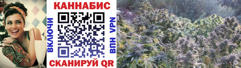 Магазины продажи наркотиков Зеленогорск Амфетамин  A PVP  МЕФ  МЕТАМФЕТАМИН  Канабис 