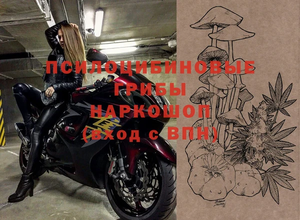 мдпв Абинск