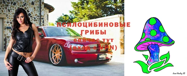 амф Вуктыл