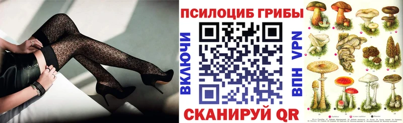 Псилоцибиновые грибы Psilocybine cubensis закладки omg маркетплейс Зеленогорск